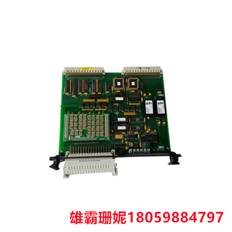 DS215TCQAG1BZZ01A  模拟 I/O 板   它安装在其他板之间