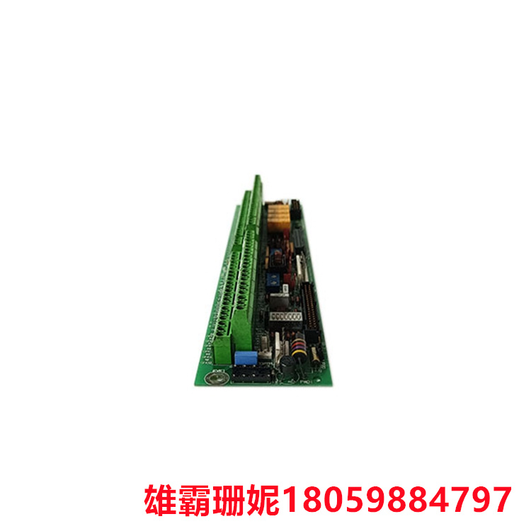 GE	531X305NTBANG1    端子板    用于大多数外部信号电平输入/输出