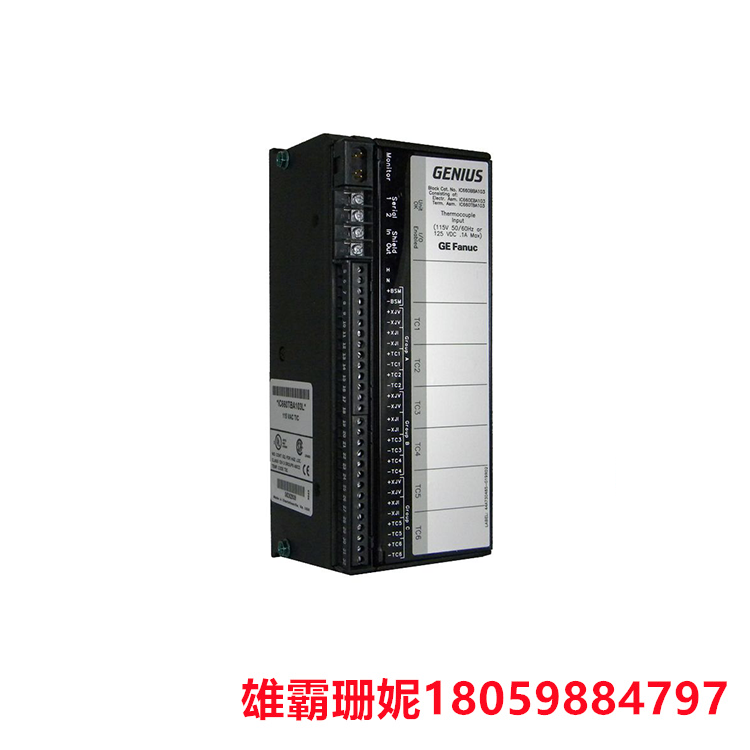 GE   IC660EBA020   I/O 模拟模块    端子组件构成了模块的底座