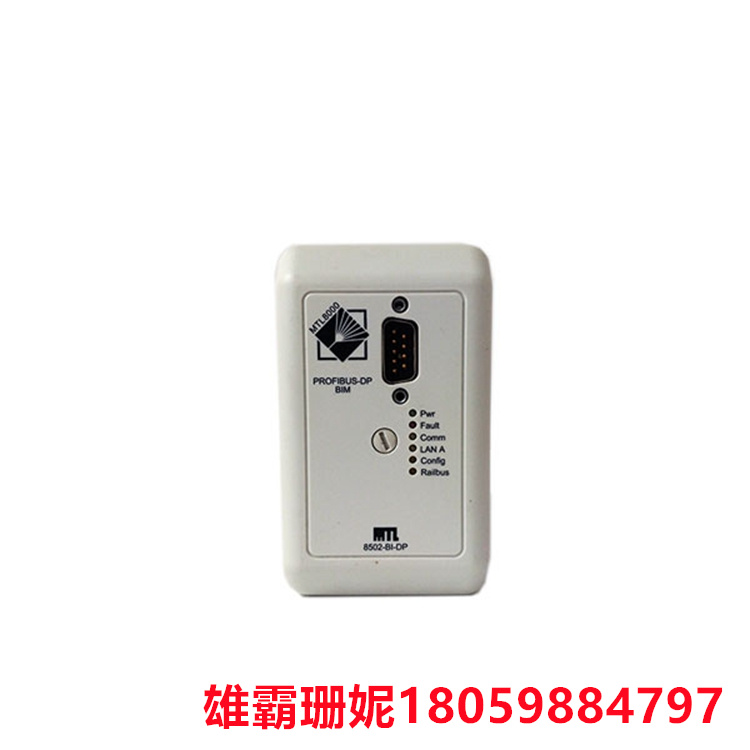 GE  8502-BI-DP  总线接口模块   允许主机对快速响应控制过程中的条件