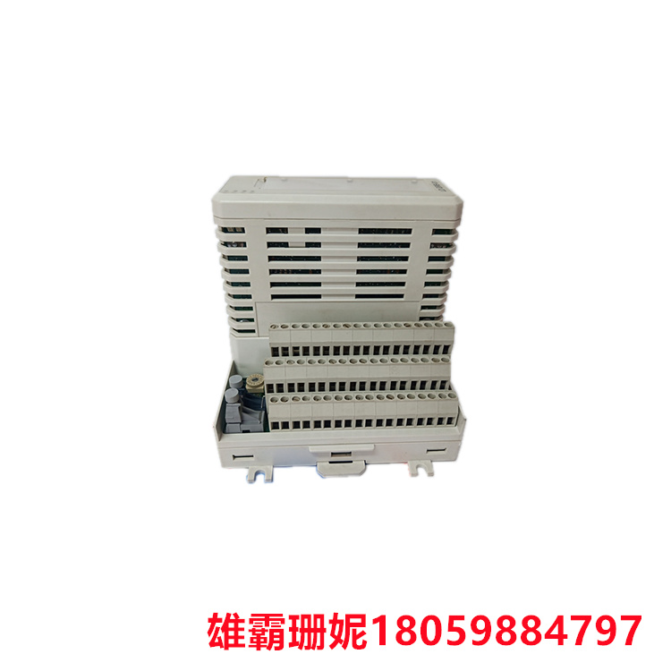 ABB  3BSE013177R1  处理器单元    放入指令寄存器