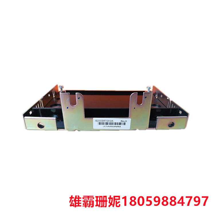 IS230SRTDH2A   导轨模块    该板有八个 RTD 输入