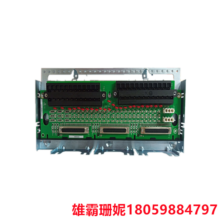 GE  IS230TNCIH4C   电路板模块    但该型号的主要视觉元件是两个接线端子