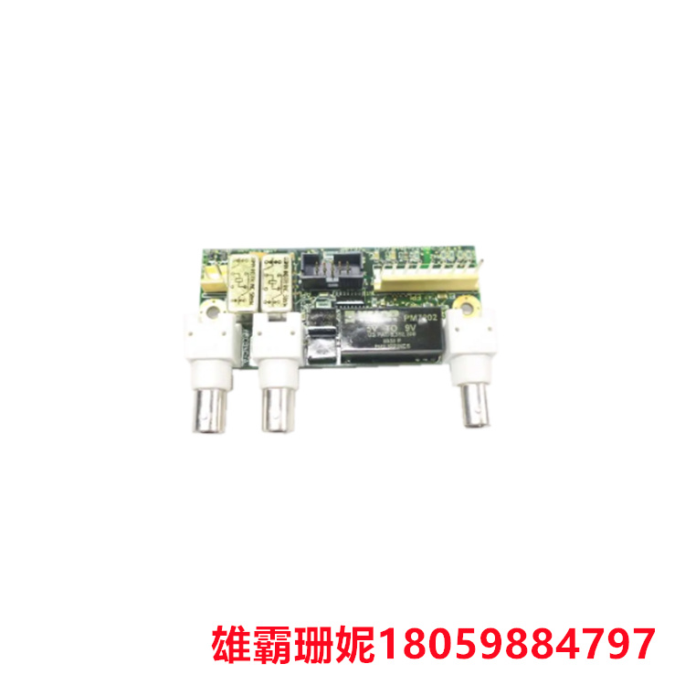 GE   DS200ACNAG1ADD  	网联卡     该板具有四个金属膜电阻器（R1至R4）