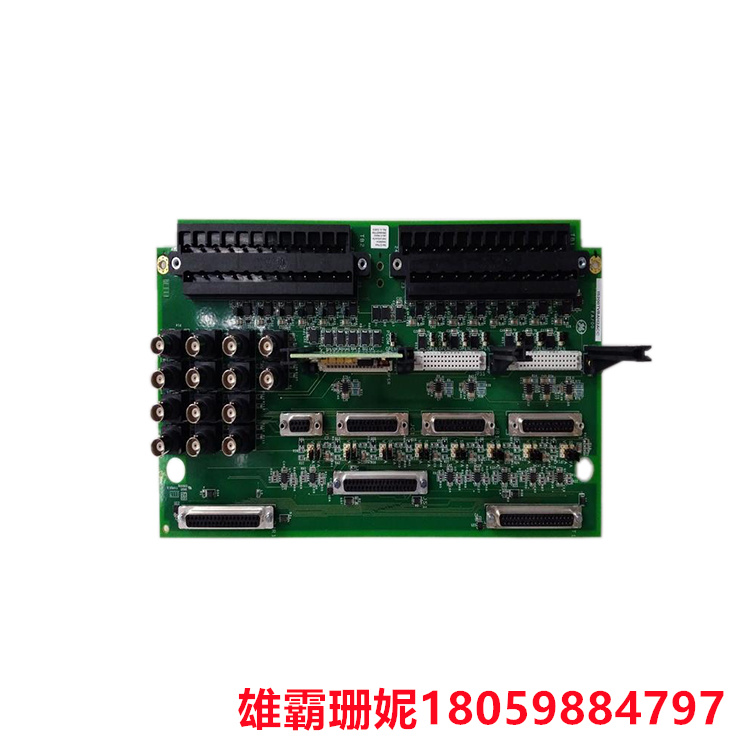 GE  IS200DTAIH1ACC   模块    这些小板排列成两(2) 对