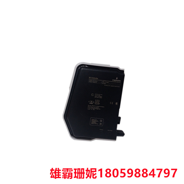 EMERSON SE3007	PLC 模块  编程器用来生成用户程序