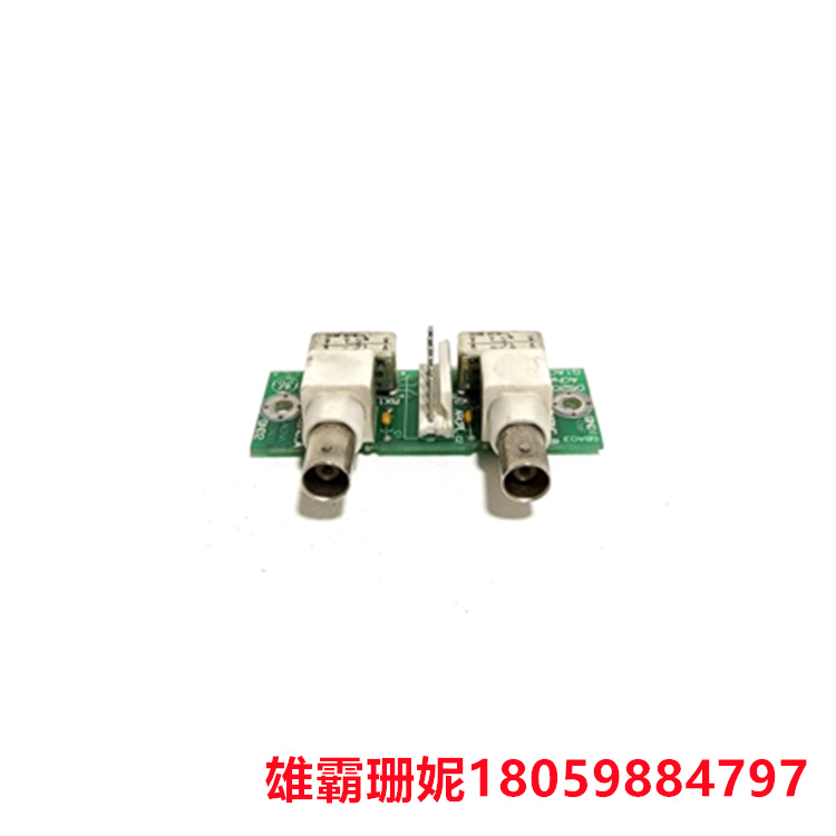 GE	DS200ACNAG1A  网联卡    它还包括直接传感器接口
