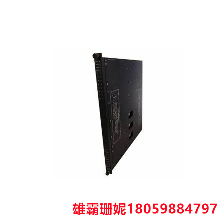 TRIC0NEX 3604E 数字输出模块 24VDC 16 点 TMR     每路输出 1 个，2.5A 快速熔断