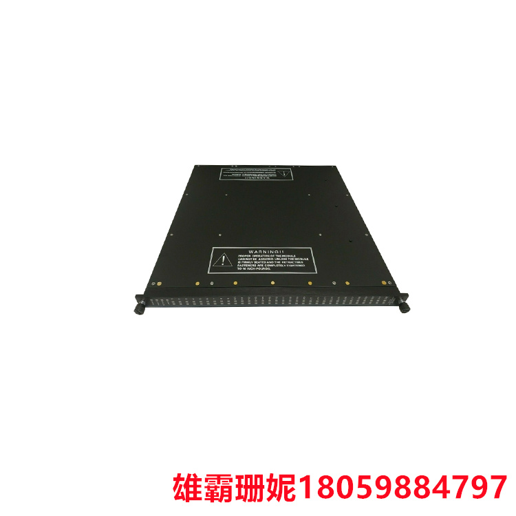 TRICONEX 3625C1  输出模块数字24VDC 32点TMR隔离   具有高可用性和热插拔处理器;提供广泛的诊断