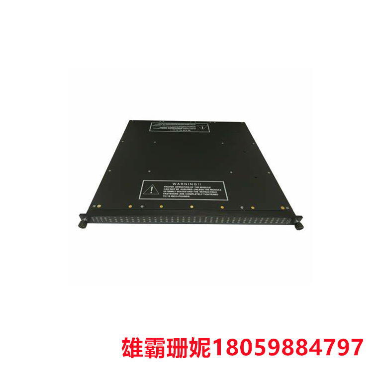 TRICONEX   PM6301A  数字输入电压   提供全面的在线诊断和修复能力