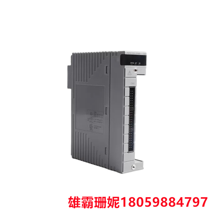YOKOGAWA   ADV569-P00    数字输出模块     带脉冲宽度功能/时间比例输出功能