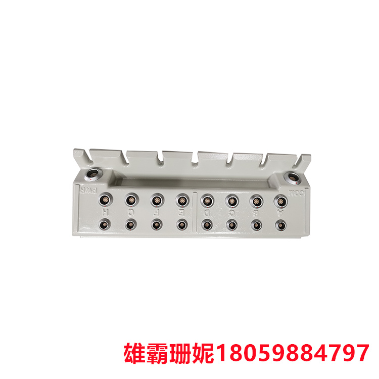 ABB   129740-002   数字输入/输出模块       还包括内置的诊断和监测功能