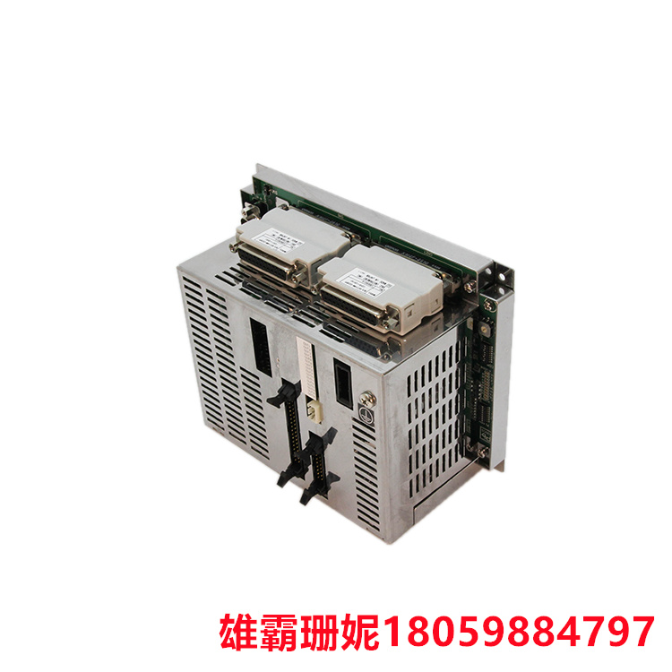 RKC    REX-B871*NN-CS1B   可编程控制器       可以通过多种编程语言进行控制和定制
