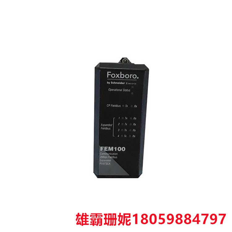 FOXBORO    P0973KJ   输入输出模块    并将其转换为数字量信号