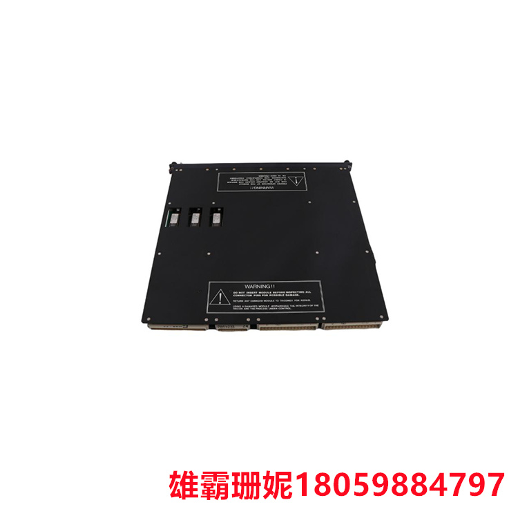 TRICONEX    3502E    数字输入输出模块      确保用户能够充分利用该产品的性能优势