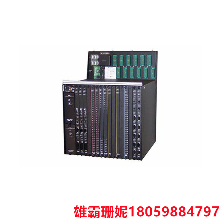 TRICONEX   435*425*60     现场输入输出模块    主要用于实现现场设备与控制系统之间的信号传输和控制