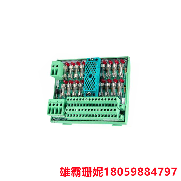 TRICONEX    9561-810   端子底座模块   主要用于实现电气线路的连接和信号传输