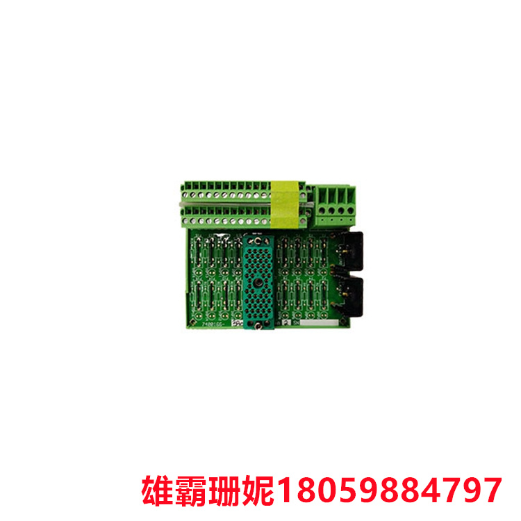 TRICONEX    9662-610    端子底座模块      它提供了一种可靠的连接方式