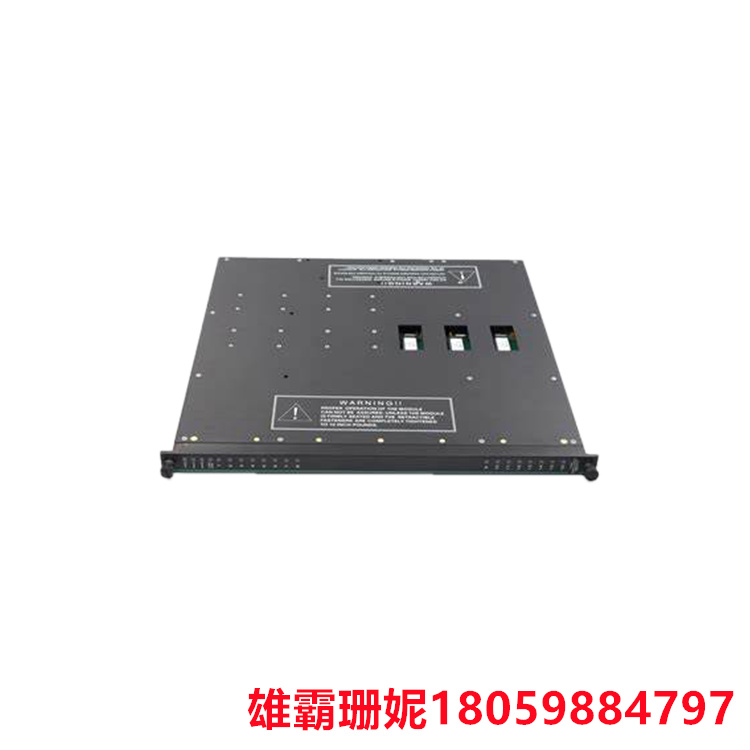 TRICONEX    3607E    数字输出模块      具有数字输出功能