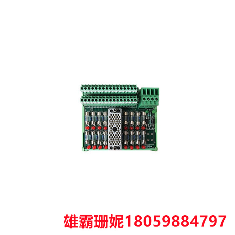TRICONEX    9563-810   开关量输入端子板     每个输入通道都经过适当的信号调理和转换