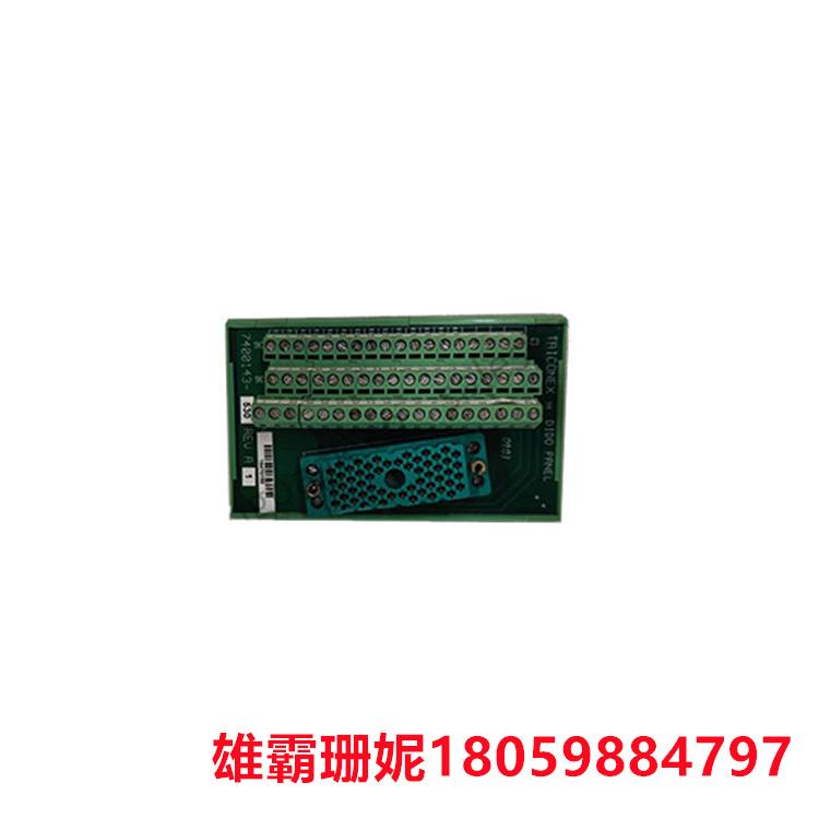 TRICONEX   9853-610   脉冲量接线端子板     它采用精密的信号处理技术