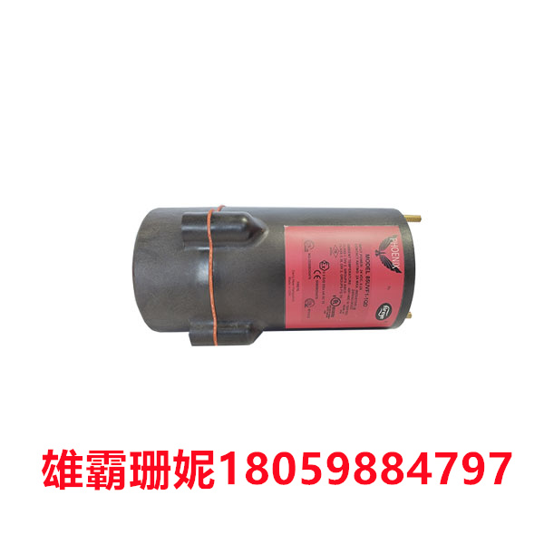 85UVF1-1QD   FIREYE   火焰探测器