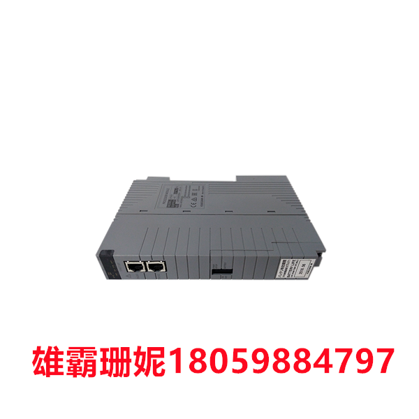 CP451-51  矩控新辰——实时工业以太网I/O系统